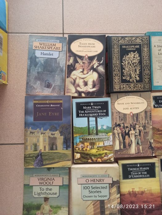 Conjunto 23 livros  clássicos literatura inglesa