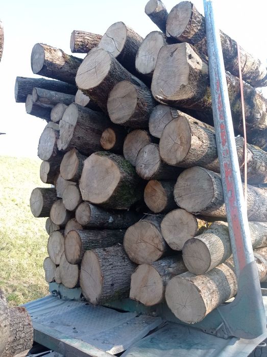 Drewno opałowe BUK GRAB drewno kominkowe  - 240,0 zł