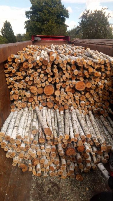 Дрова Берёза Кругляк ОПТ с Доставкой в Киев