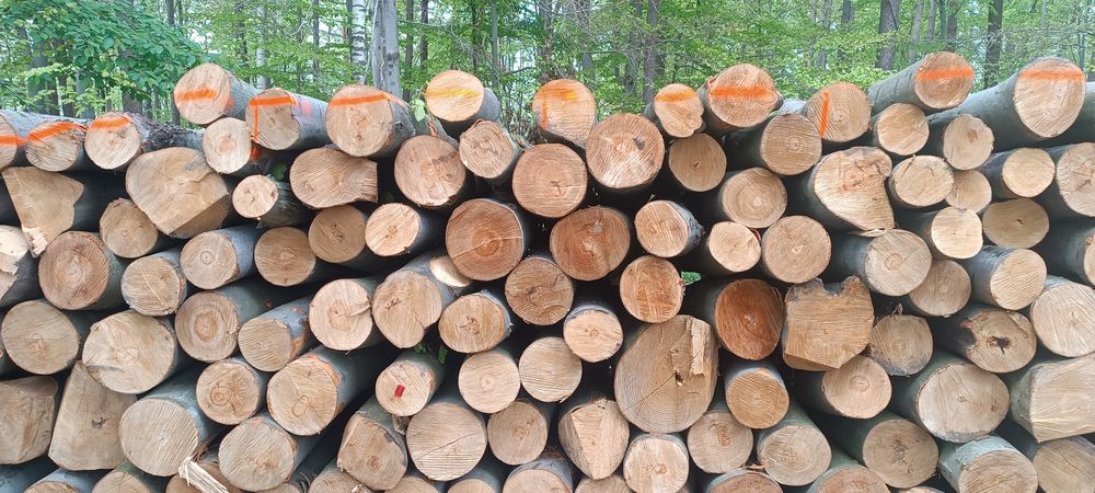 Drewno kominkowe i opałowe.   6.6.2.5.6.8.0.7.8