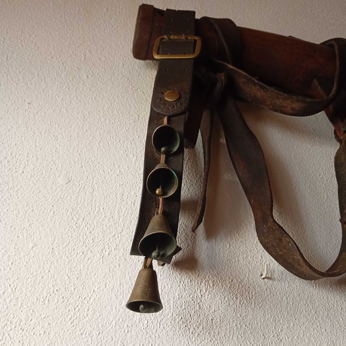 Canga de bois, completa com correias e coleiras