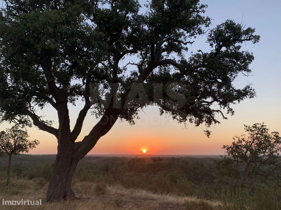 Herdade  com 40,85 hectares em São Bartolomeu da Serra, Santiago do...