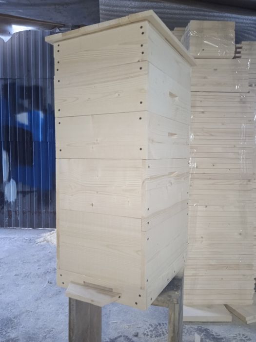 Вулик український дадан