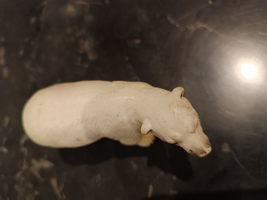 Niedźwiedź polarny Schleich