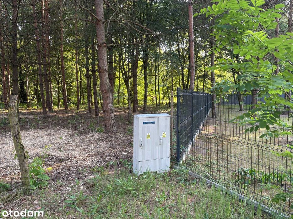 Działka budowlana 1505 m² , ogrodzona, prąd, Wężyk, gmina Grodzisk Maz