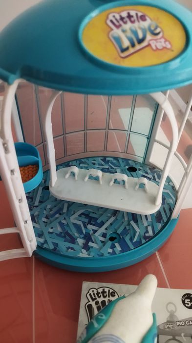 Little live pets pássaros falantes