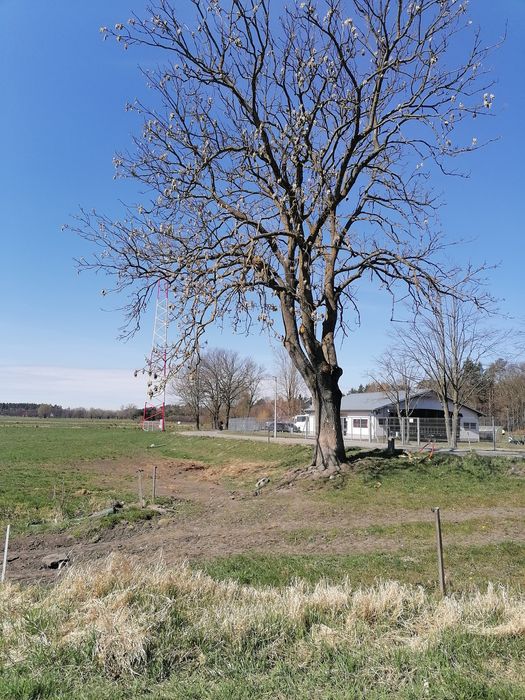 Działki budowlane Stegna
