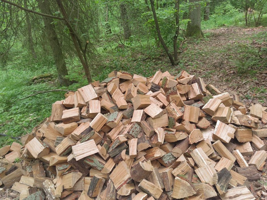Drewno kominkowe i opałowe