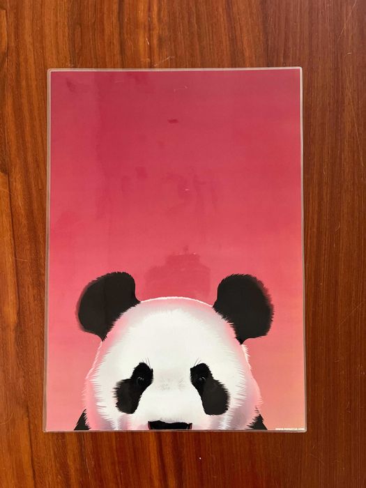 Pop Up Mini Panda – Poster Plastificado e Pronto
