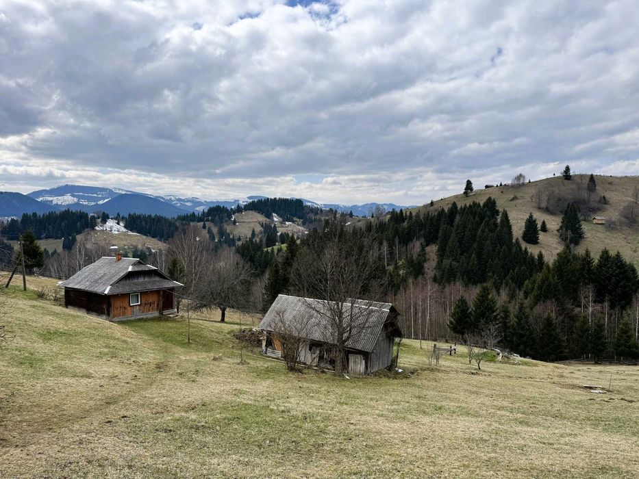 Продаж будинку у горах, с.Довгополе, 85 сот., БЕЗ КОМІСІЇ