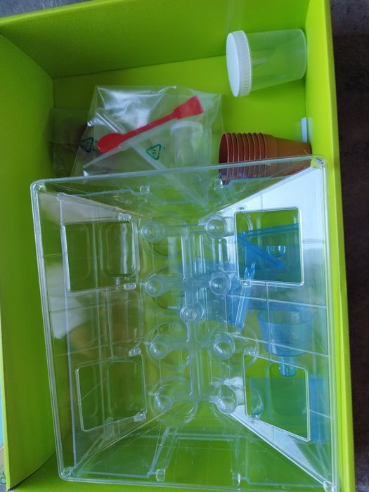 Jogo ciência na estufa