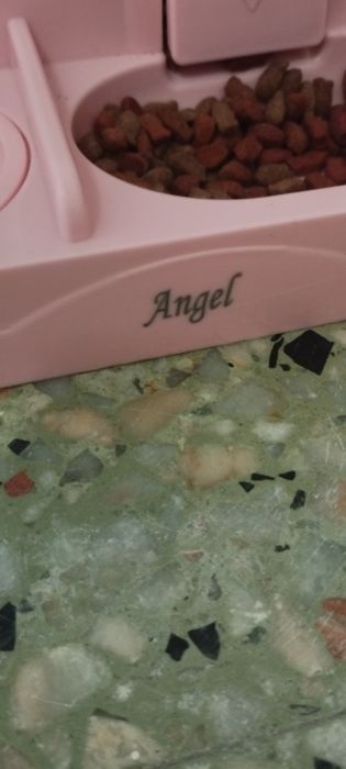 Caixa para comida e água para gatos