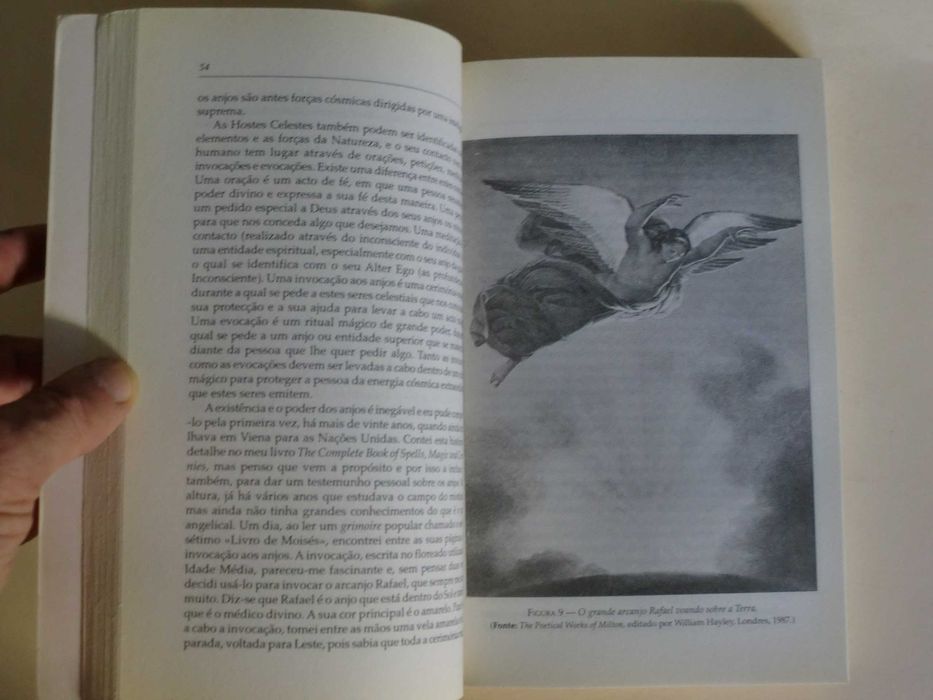 O Grande Livros dos Anjos
de Migene González-Wippler