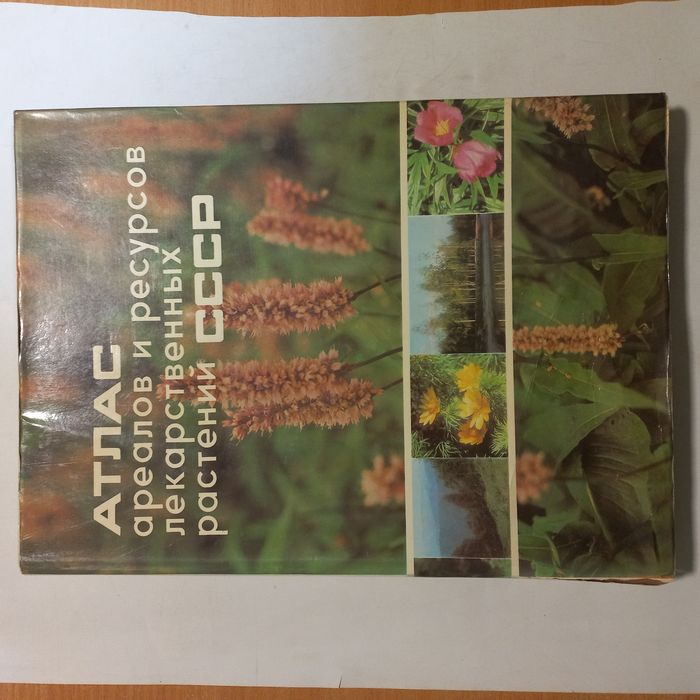 Величезний Атлас лікарських рослин 1980 р.