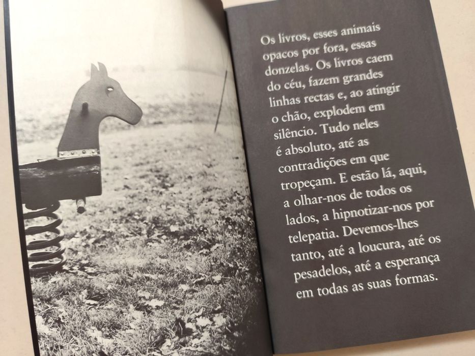 Livro: Abraço de José Luís Peixoto