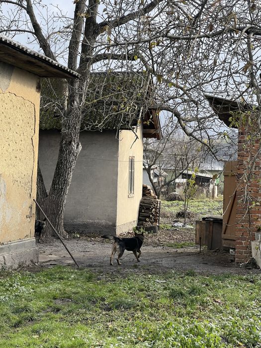 Будинок із землею 15 соток