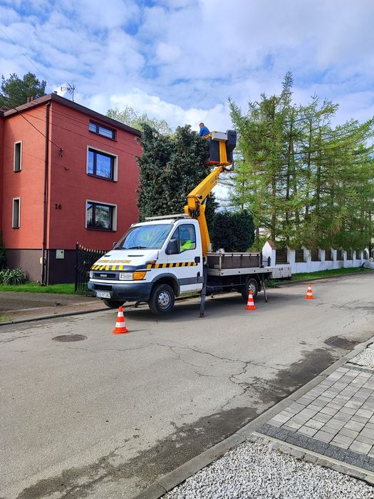 Wycinka, przycinka drzew, rembak  koszenie trawy.