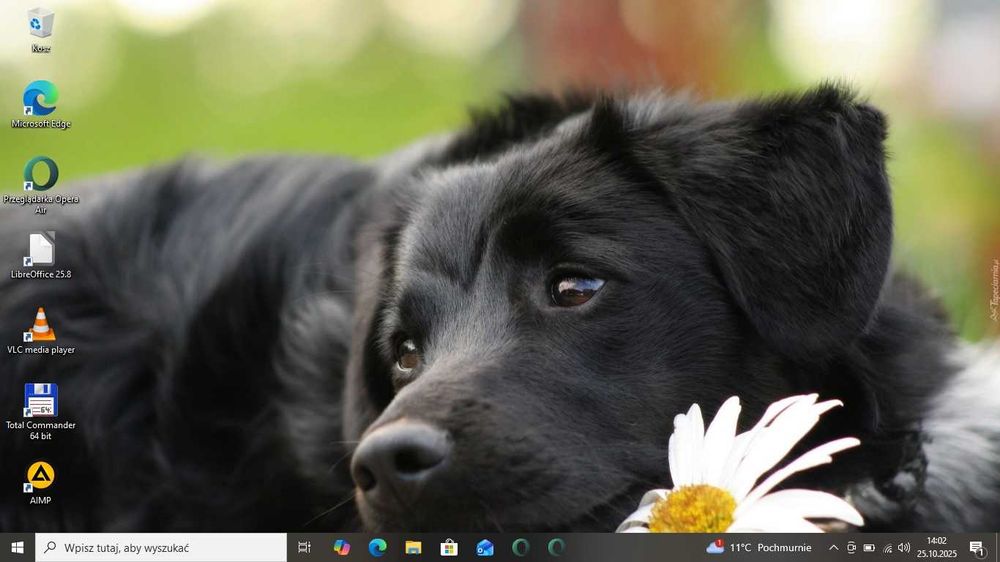 TANIO Dell E5440 IntelCore i5-4Th/8gbDDR/SSD256Gb/BateriaOK