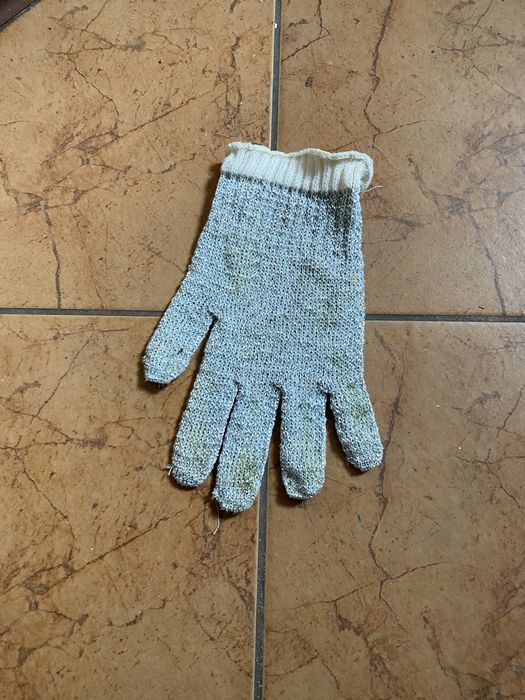 JBL Proscrape - Rękawica do czyszczenia szyb z glonów