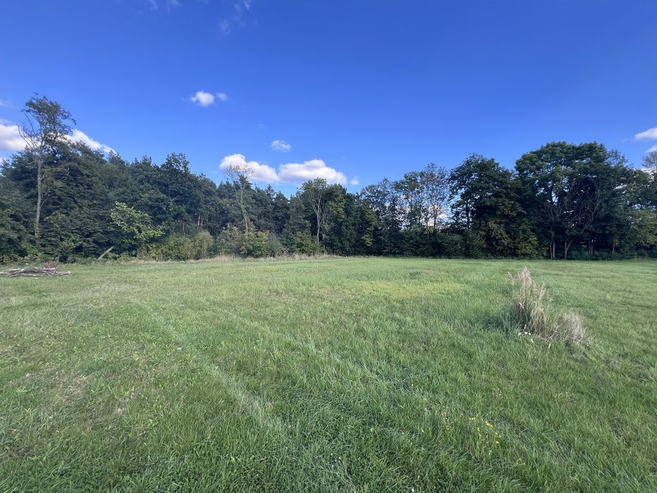 Dzialka przy lesie, obok Trzebnicy