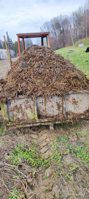 Oferta ograniczona ilością Transport własny przyczepka ,na działki bydlęcy za półtorej -300