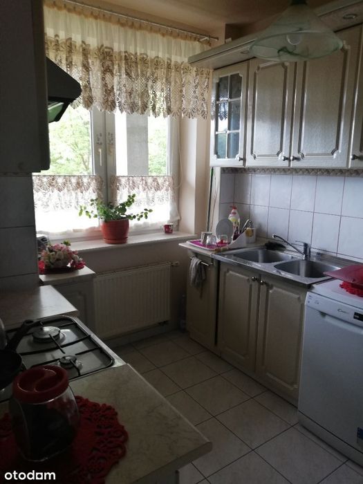 Mieszkanie 2-pokojowe w centrum Międzylesia + miejsce postojowe