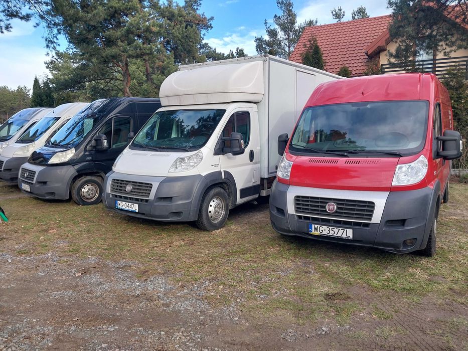 Bus / Wynajem / do wynajęcia/autolaweta/laweta