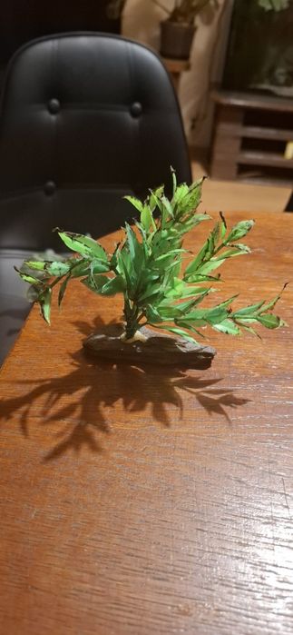 Roslinki sztuczne do akwarium