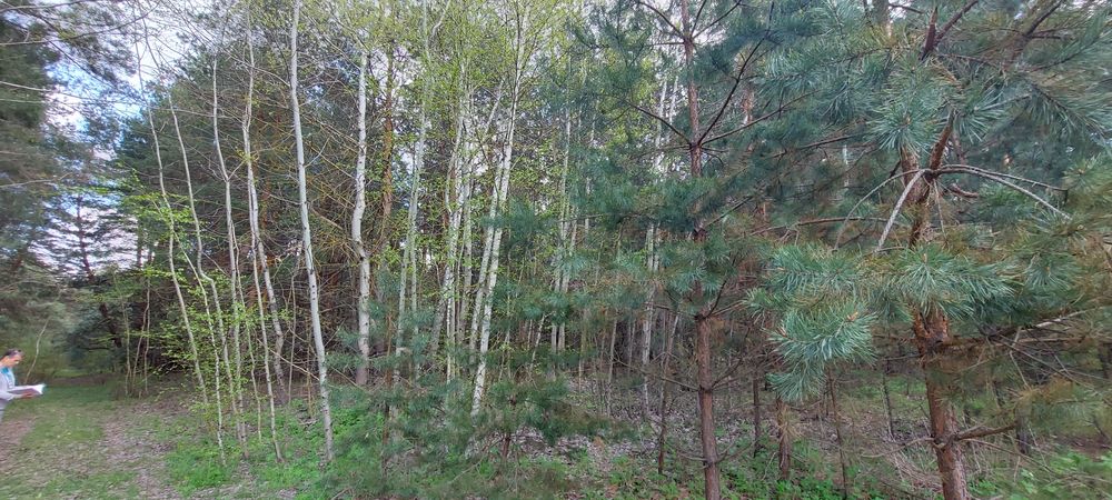 Продам власну садову ділянку