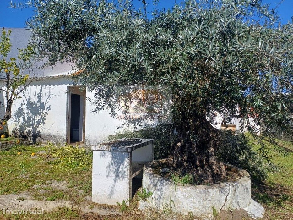 Casa Na Aldeia - Projecto Aprovado E Pronto A Construir — Alcácer Do Sal (Santa Maria Do Castelo E Santiago) E Santa Susana, Setúbal