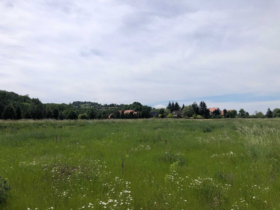 Działka budowlana Lutomia Górna uzbrojona Okazja 1500m2.