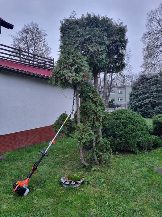 Usługi Ogrodnicze Grześ