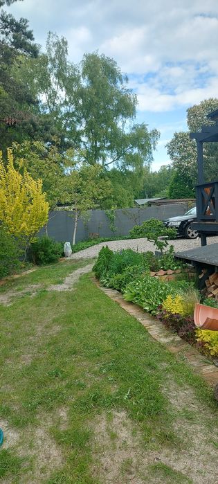 Pod Żurawiem Stegna pokoje całoroczne .