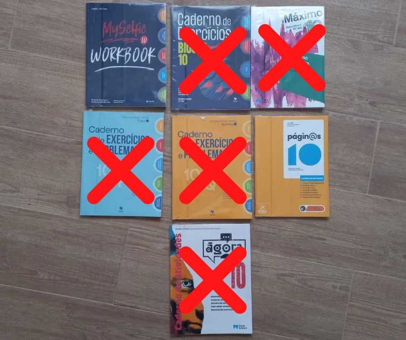 Cadernos fichas 10º. ano (novos)
