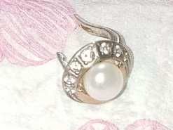 Пропала серёжка в районе Мотор Сич