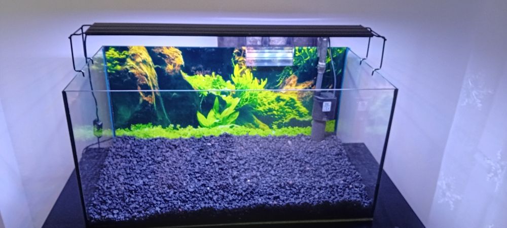 Akwarium  cały zestaw gotowe