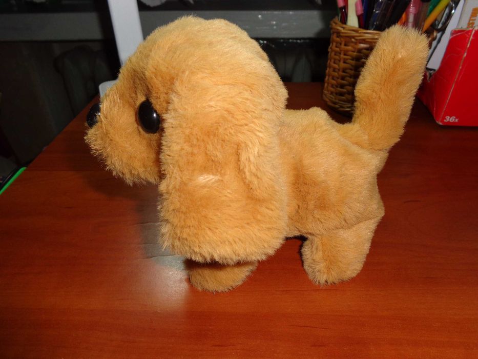 piesek chodzący ,szczekający