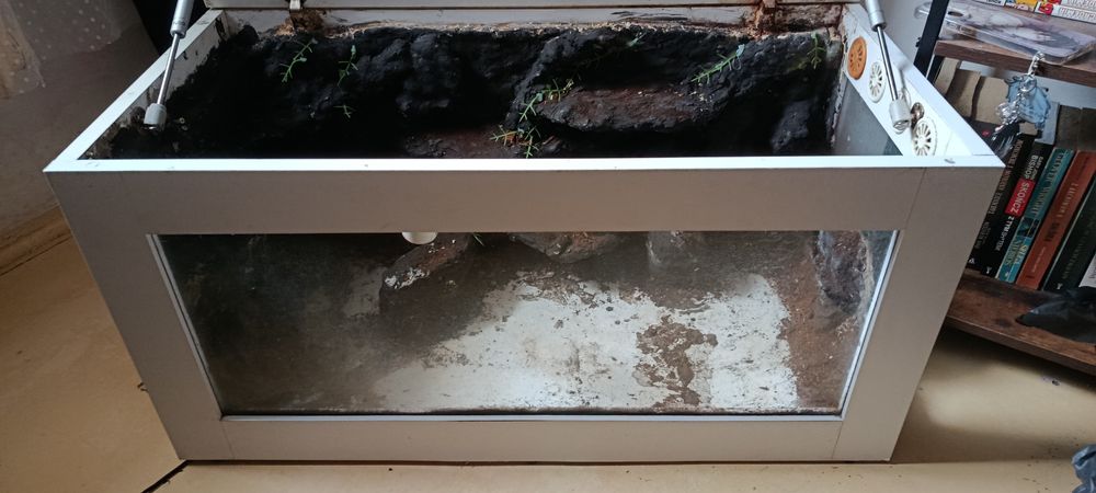 Terrarium 80x40x40 cm + żarówki, mata grzewcza, podłoże