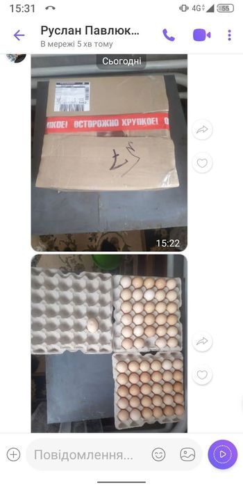 Інкубаційні яйця курей майстер грей