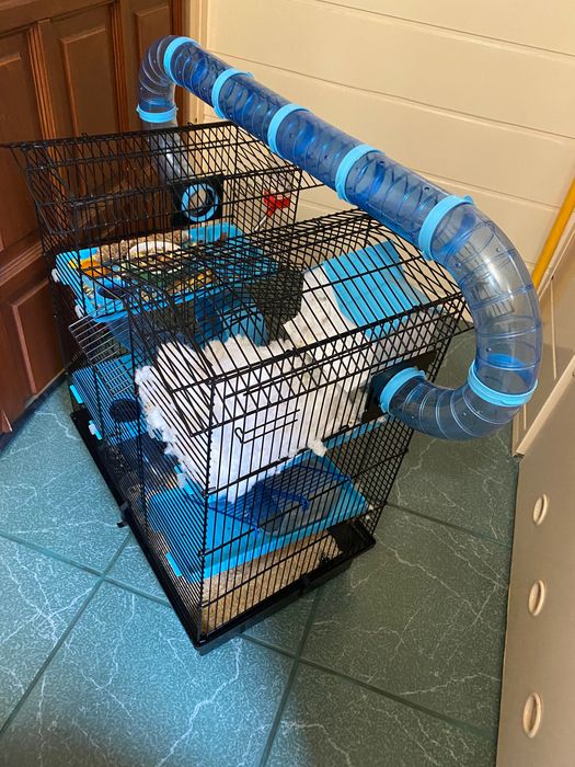 Bardzo duża klatka dla chomika