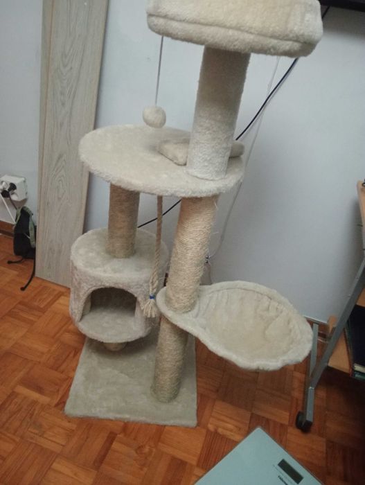 Casinha gato arranhador