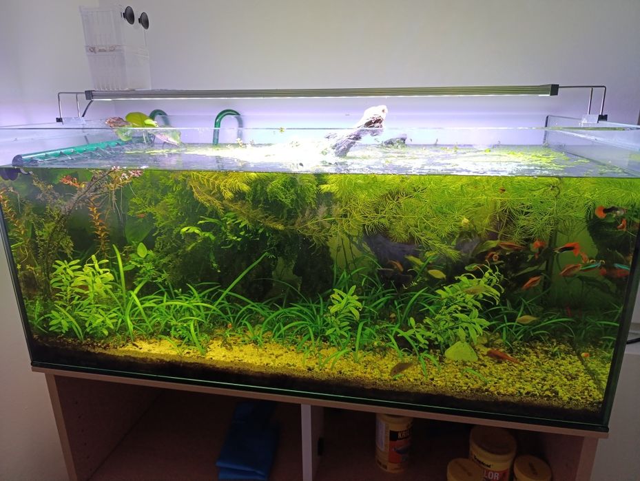 Aquário completo para venda