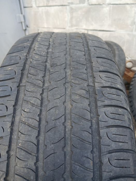 Ризина 225,55,R19 2 ската