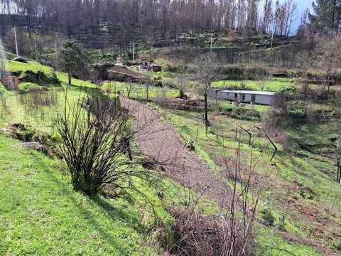 Terreno com mina de água