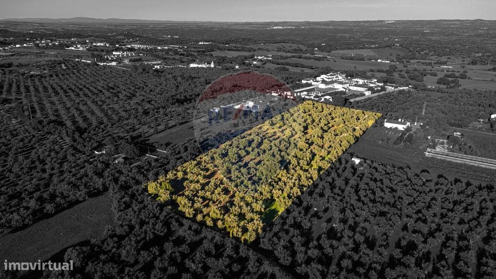 Terreno  para venda — Nossa Senhora Da Conceição E São Bartolomeu, Évora