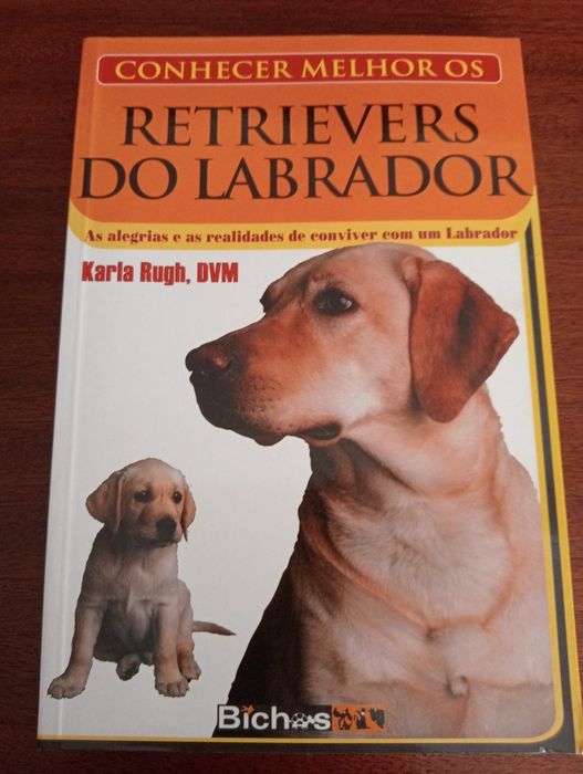 Conhecer melhor os retrievers do labrador