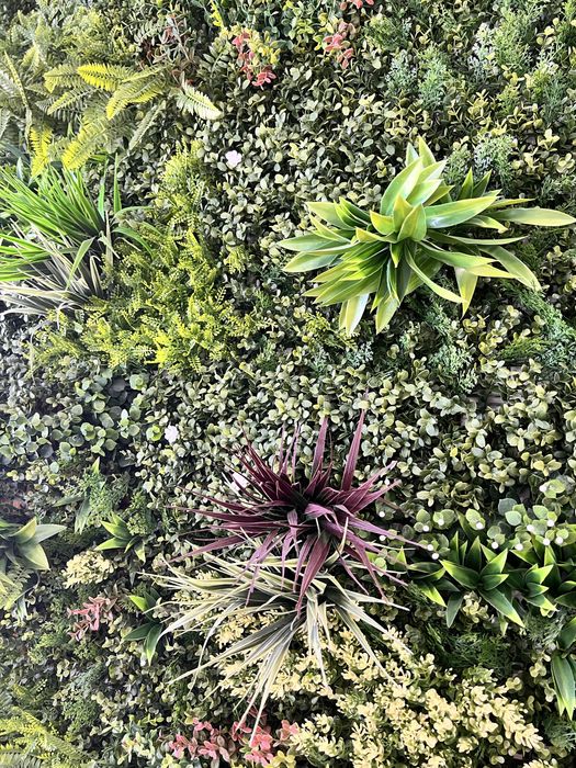 Jardim Vertical 6,50m2