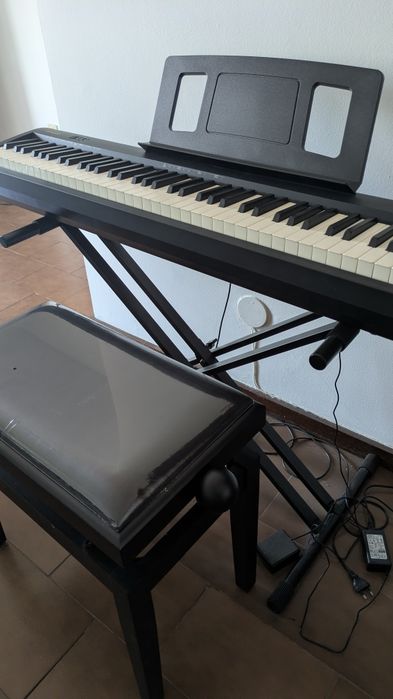 Roland FP-10 + Banco Regulável + Suporte + Caixa Original | Como Novo