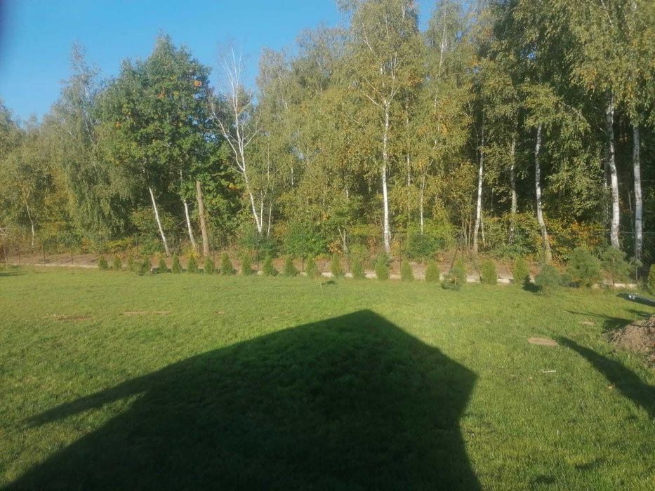 Działka z wydanymi warunkami zabudowy - Wilamy powiat płoński, gmina Załuski - 2 x 1500 m² - Widok 2