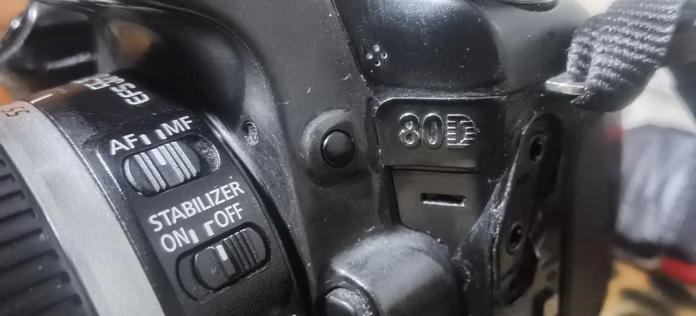 Canon 80D + Lente Canon 55-250mm